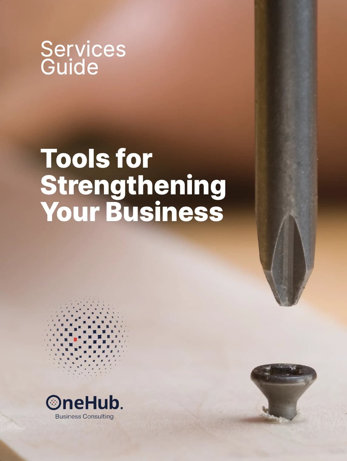 OneHub Services Guide cover: Tools for Strengthening Your Business